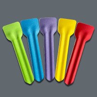Paper Ice Cream Spoons Multicoloured 95mm