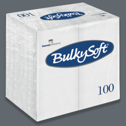 White Dinner Napkin 2-Ply 40x40 cm