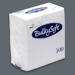 White Dinner Napkin 2-Ply 1/4 40x40 cm