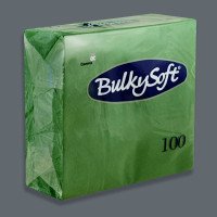 Green Dinner Napkin 2-Ply 40x40 cm Green Dinner Napkin 2-Ply 40x40 cm