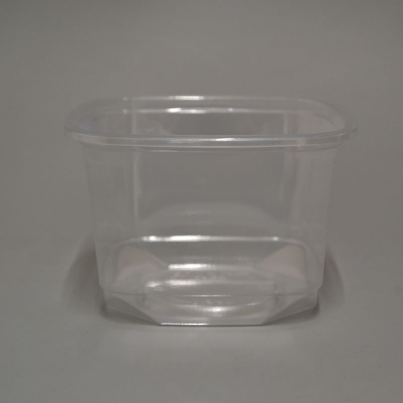 16oz Square Deli Container & PET Lid