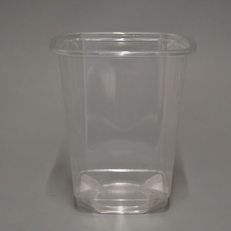 32oz Square Deli Container & PET Lid