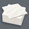 White Lunch Napkin 2-Ply 1/4 33x33 cm