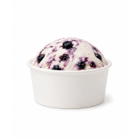8oz Ice Cream Tubs with Lids Fridge/Freezer Safe
