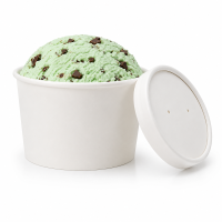16oz Ice Cream Tubs with Lids Fridge/Freezer Safe