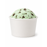 16oz Ice Cream Tubs with Lids Fridge/Freezer Safe