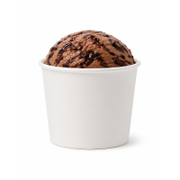26oz Ice Cream Tubs with Lids Fridge/Freezer Safe