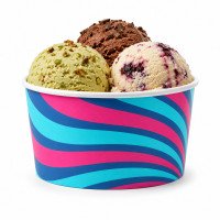 8oz Go-Chill Ice Cream Tub