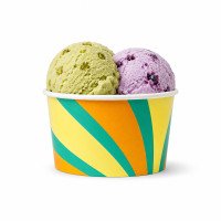4oz Go-Chill Ice Cream Tub