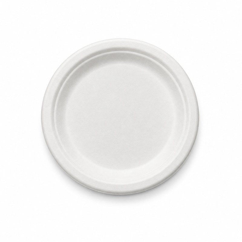 Sugarcane Bagasse Plates | 6, 7 & 9 Inch