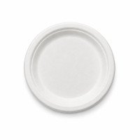Sugarcane Bagasse Plates | 6, 7 & 9 Inch