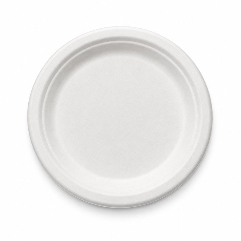 Sugarcane Bagasse Plates | 6, 7 & 9 Inch