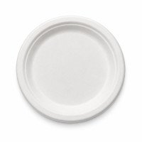 Sugarcane Bagasse Plates | 6, 7 & 9 Inch