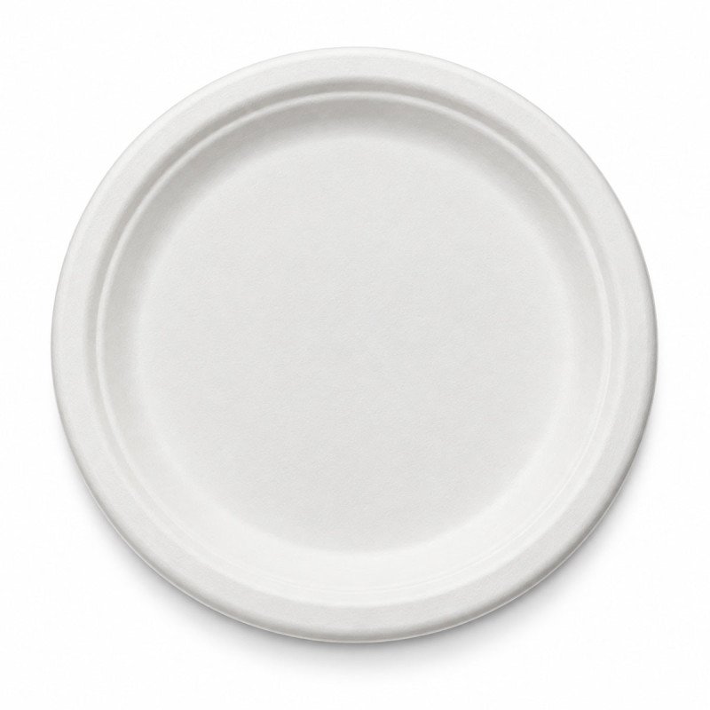 Sugarcane Bagasse Plates | 6, 7 & 9 Inch