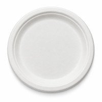 Sugarcane Bagasse Plates | 6, 7 & 9 Inch