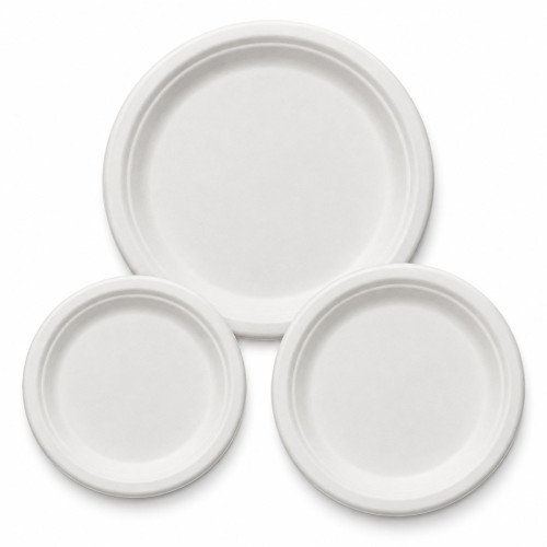 Sugarcane Bagasse Plates | 6, 7 & 9 Inch