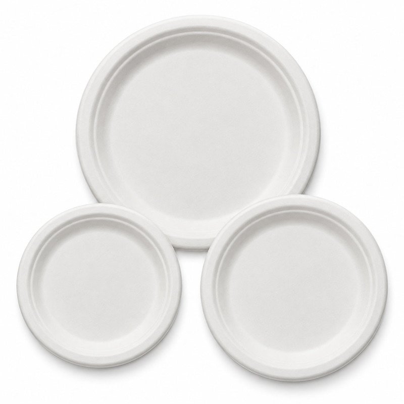 Sugarcane Bagasse Plates | 6, 7 & 9 Inch