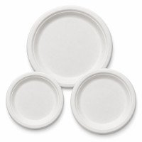 Sugarcane Bagasse Plates | 6, 7 & 9 Inch