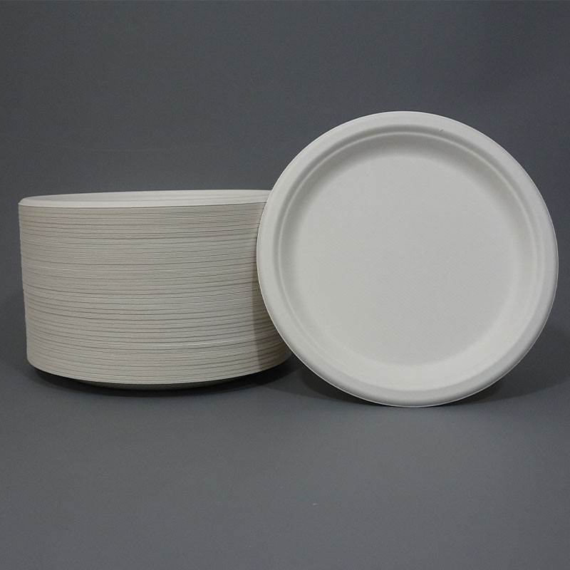 9" White Bagasse Plates