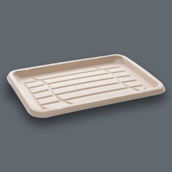 350 x 240mm Sabert Sugarcane Platters - GreenFeel