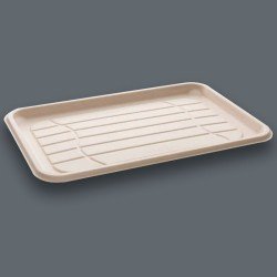 460 x 300mm Sabert Sugarcane Platters - GreenFeel