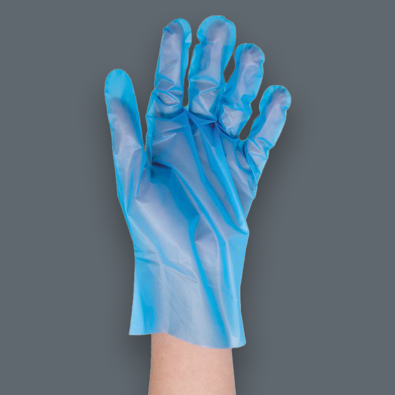 TPE Blue Gloves - Size L